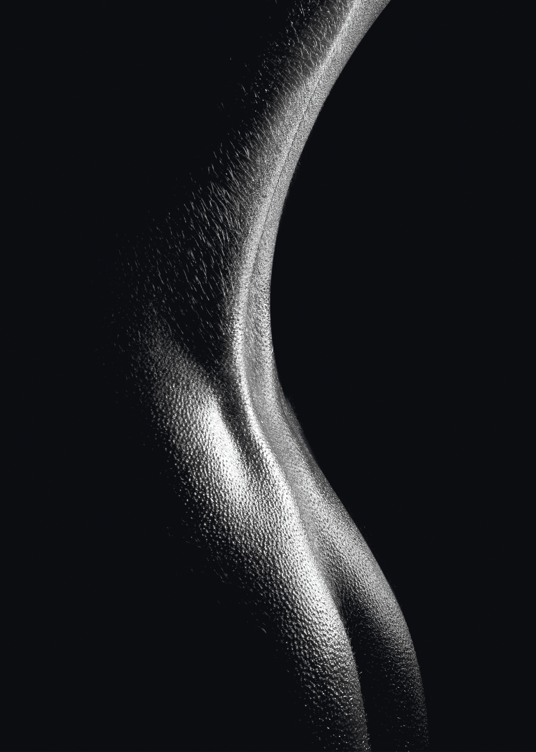 Schiena bianco e nero