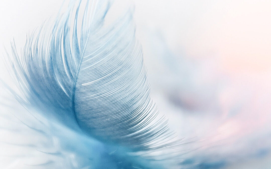 Il cerchio di Asclepio