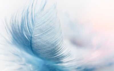 Il cerchio di Asclepio