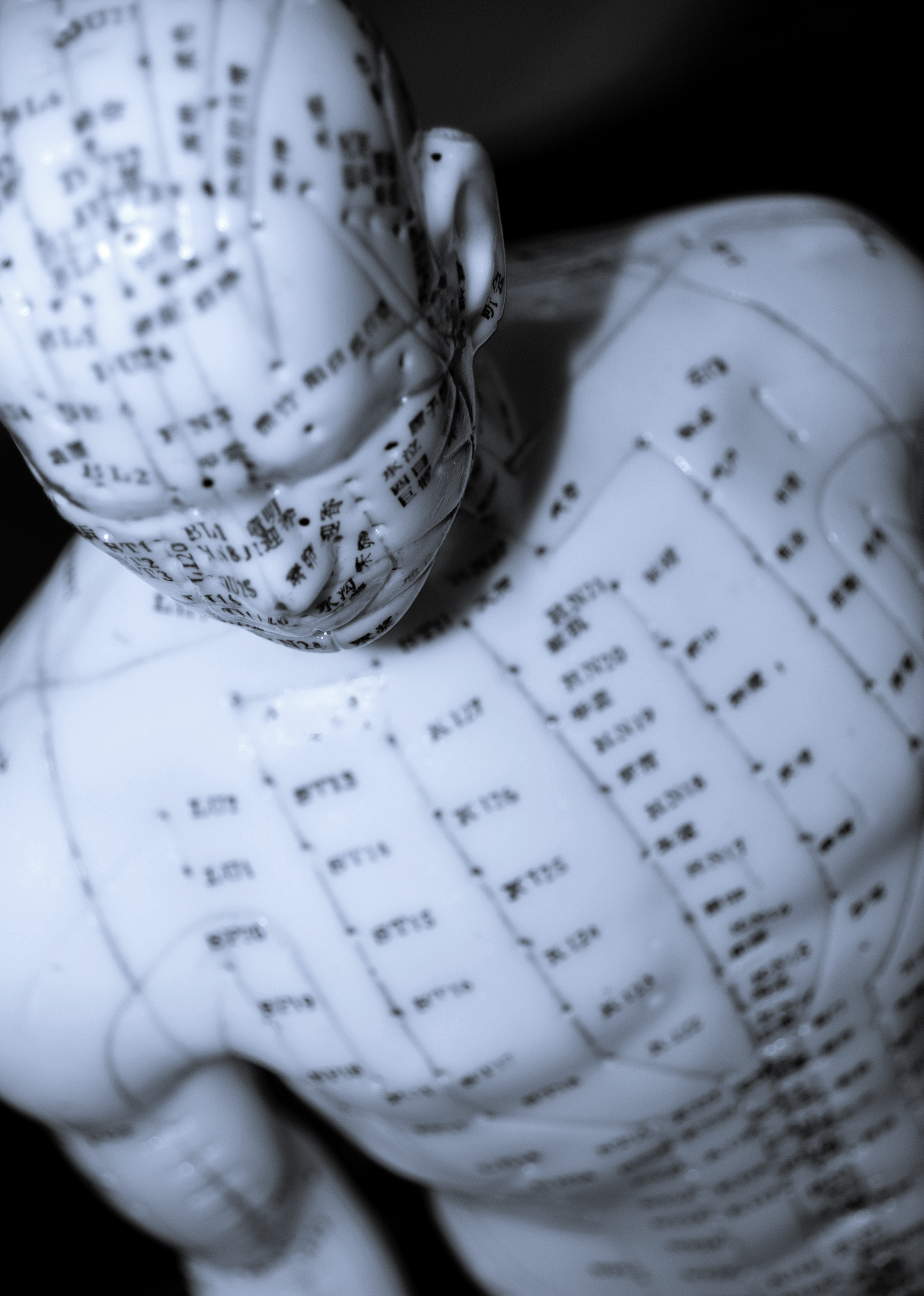 m.t.c. Manichino per medicina cinese