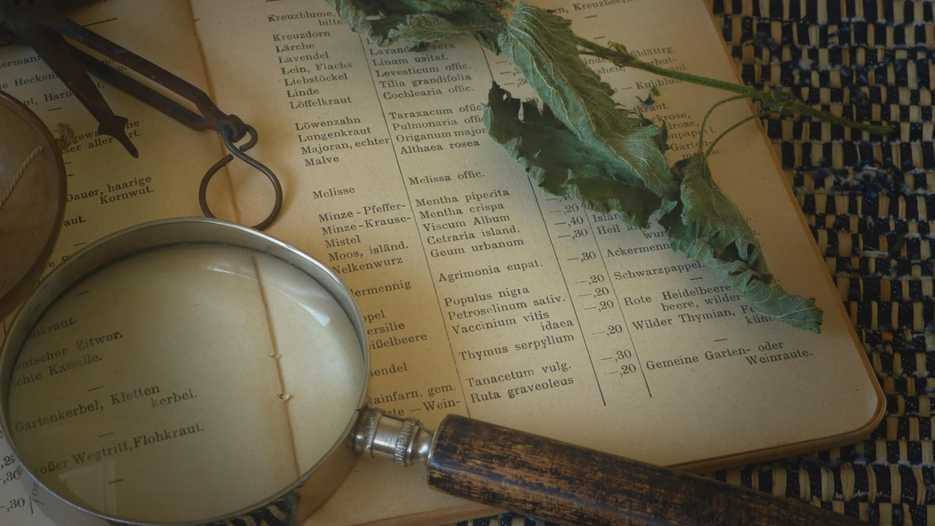 naturopatia La naturopatia