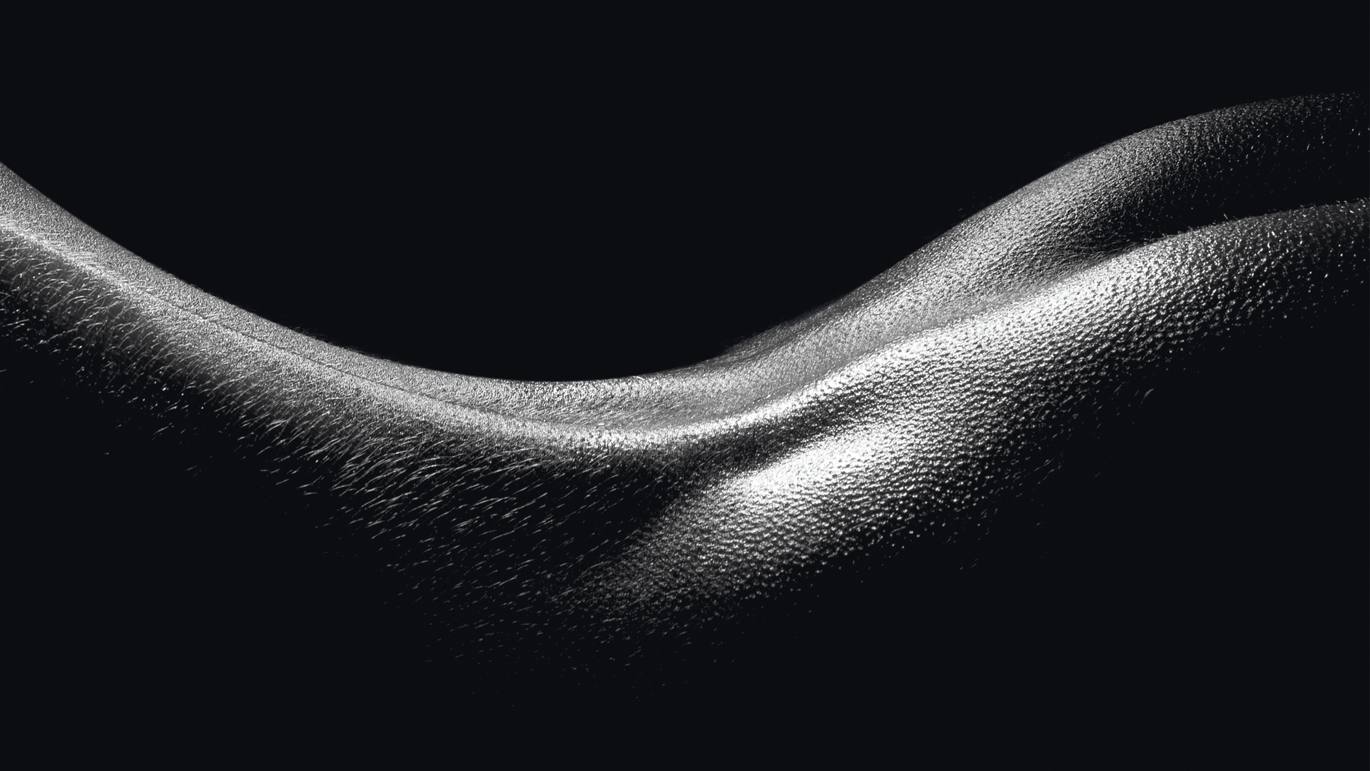 Il corpo