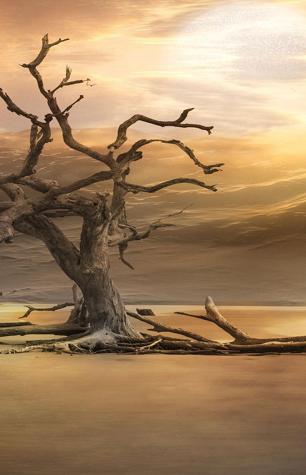 Albero su sfondo naturale